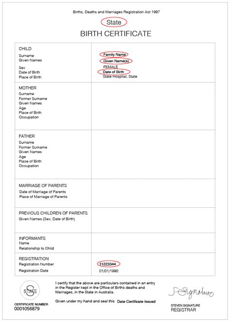 Where Is The Document Number On A Birth Certificate - MeaningHippo