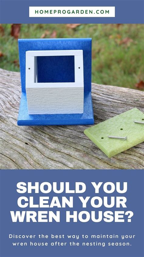 How To Hang And Clean Your Homepro Garden Wren House Wren House Wren