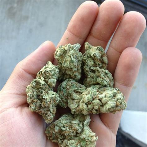 Alaskan Thunder Fuck