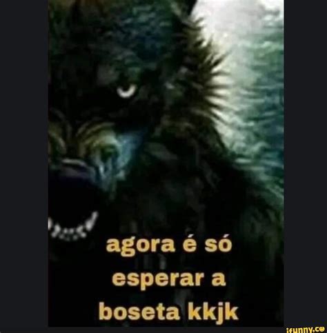 Agora S Esperar A Boseta Kkjk Ifunny Brazil