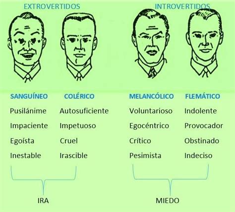 Los 4 Temperamentos Del Ser Humano Artofit