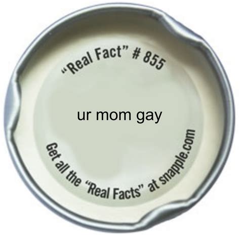 Ur Mom Gay R Memes Of The Dank