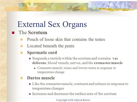 Male Sexual Anatomy And Physiology Ppt Video Online Download