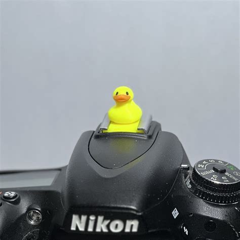 Camera Hot Shoe Cover Duck Stl File For D Printingcults
