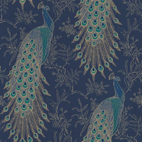 Peacock Blue Wallpapers - Top Free Peacock Blue Backgrounds