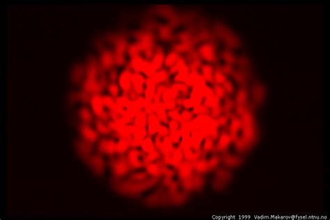 Photo Speckle Pattern From Multimode Fiber