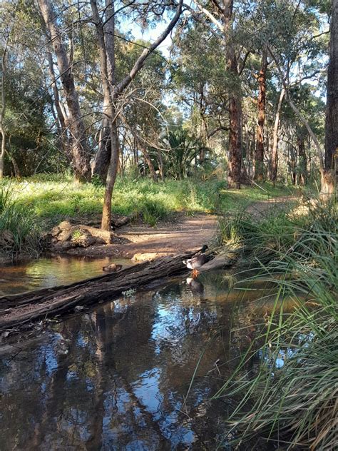 Volunteers react to the latest focus hope funding milestone 29