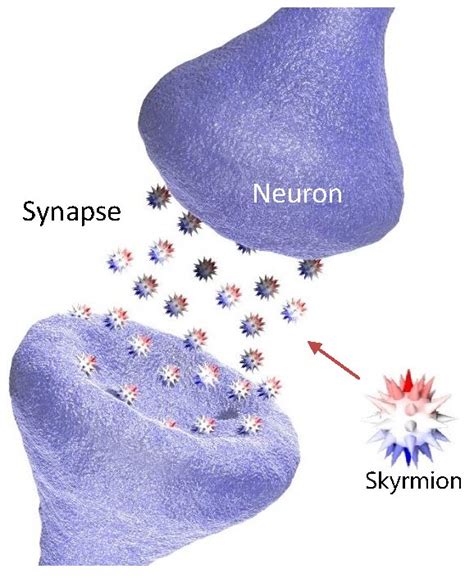 Using Skyrmions To Create Artificial Synapses For Neuromorphic Computing