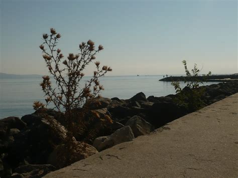 Amateur Photos Amateur Pic Porn Pic