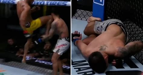 El Impactante Debut De Un Luchador En Ufc Ganó Por Nocaut Con Un