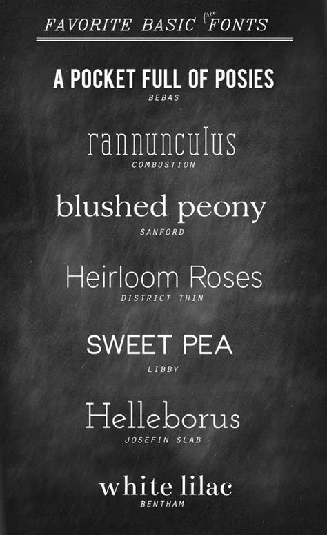 Favorite Basic Font Collection Typography Design Lettering Fonts