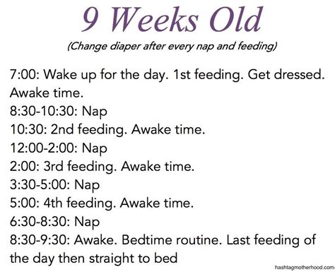 7 week old baby sleep schedule - Mia Warden