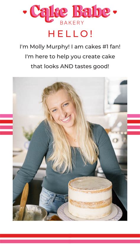 Best Chocolate Fudge Cake With Fudge Frosting Cake Babe