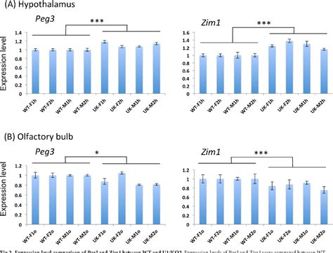 Figure From Allele Specific Enhancer Interaction At The Peg