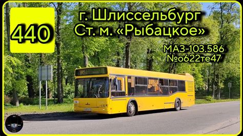 ЛО, автобус №440 от города Шлиссельбург до ст. м. Рыбацкое | МАЗ-103. ...