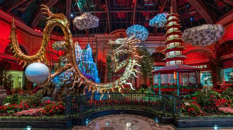 Bellagio Conservatory Embraces The Year Of The Dragon With Annual Display