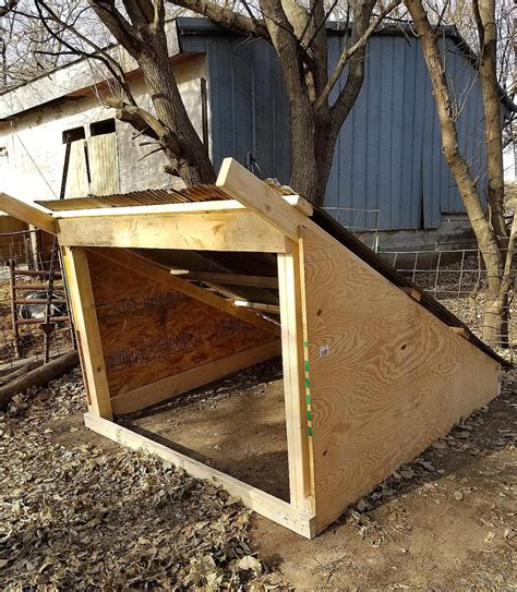 How To Build an Inexpensive Pig Shelter | The Ealy Homestead