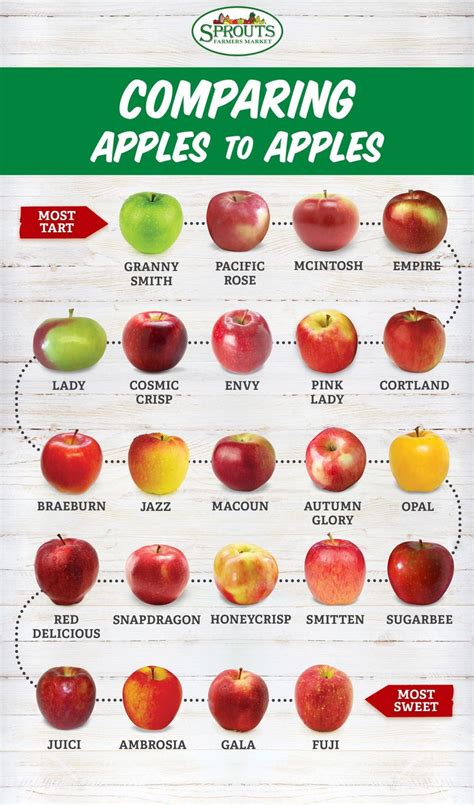 The Great Apple Harvest Food Facts Best Apple Recipes Food Info