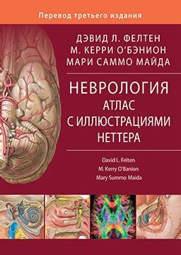 Неврология. Атлас с иллюстрациями Неттера. Д. Л. Фелтен, М. К. О’Бэнион ...