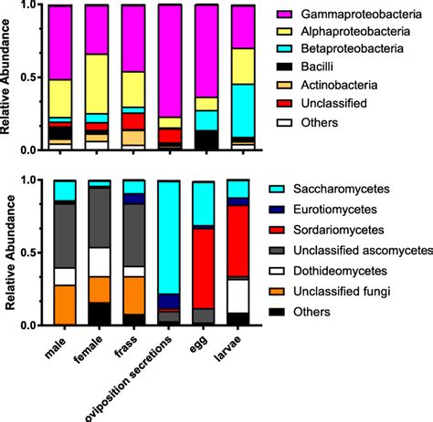 Relative Abundance Of Taxonomic Community At The Class Level Top Chart