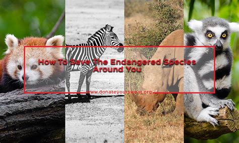 How To Save The Endangered Species Around You Donate Your Sweat