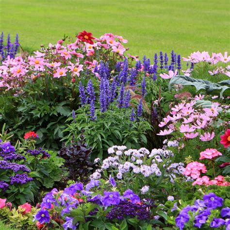 2 Simple Secrets To Eliminate Weeds In Flowerbeds For Good