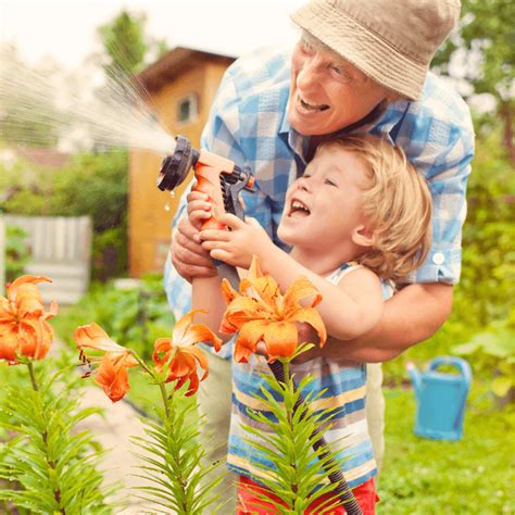 Hot Summer Gardening Tips Simply Helping Gardening Service