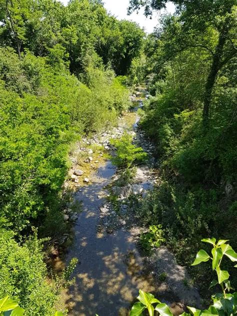 Team Papillon Trek Duo Papillon Lingerie