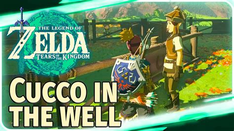 South Akkala Stable Cucco In Well The Legend Of Zelda Tears Of The