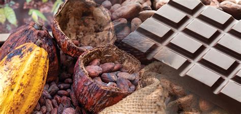 Chocolate Panning By Hand How To Guide Chocolatiering DIY Chocolate