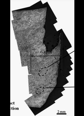 Micro Damage Features And Optical Micrographs Of The Adiabatic Shear