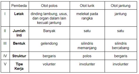 perbedaan jaringan otot polos otot lurik  otot jantung dalchaebi