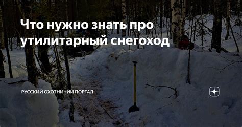 Что нужно знать про утилитарный снегоход | Русский охотничий портал | Дзен