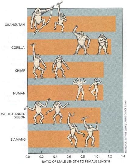 A Billion Years Of Sex Differences