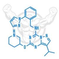 Dihexa Powder - Nootropics Unlimited