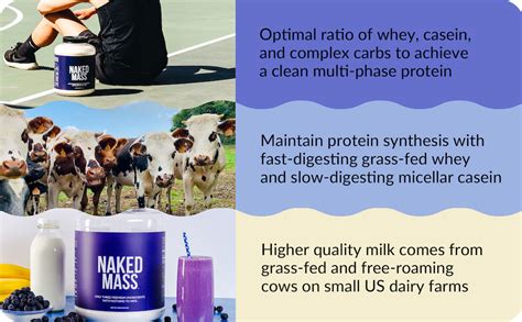 Amazon Naked Nutrition Naked Mass Natural Weight Gainer Protein Powder Lb Bulk Gmo