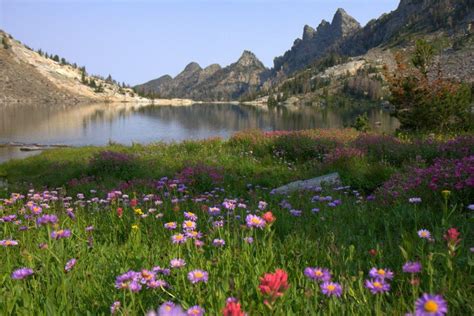Pine Creek Lakes Montana Montana Landscape Lake