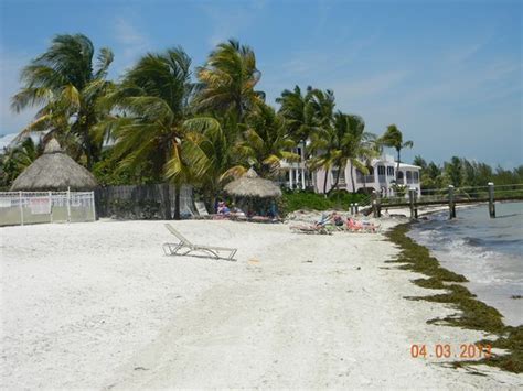 Coco Plum Beach And Tennic Resort Picture Of Cocoplum Beach And Tennis Club And Marina Marathon