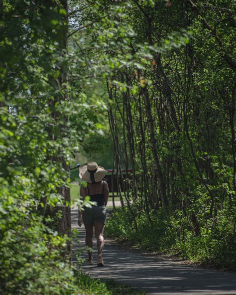 Latest obituaries and death notices for Red Deer, Alberta 5