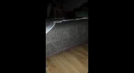 Voli DA Gleda Free Porn Video 5b XHamster