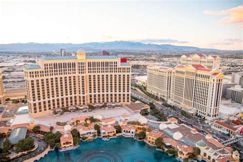 Pet-Friendly Hotels in Las Vegas in 2021