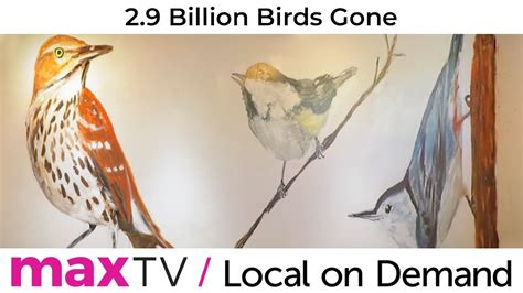 Billion Birds Gone Sasktel Maxtv Local On Demand Youtube