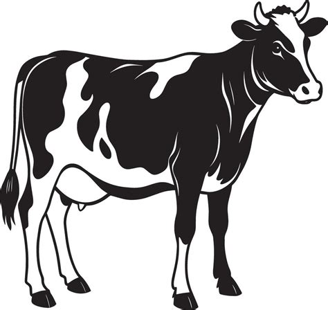 Black and white cow isolated on a white background. 42883587 Vector Art ...