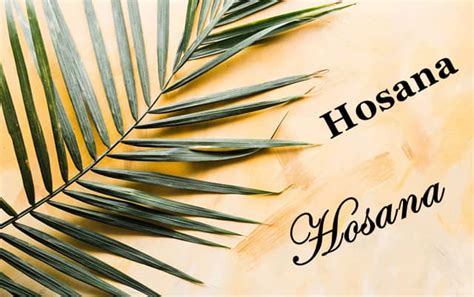 O Que Significa Hosana - Hosana: Origem e Significado