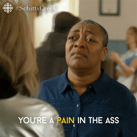 Pain In The Ass GIFs Get The Best On GIPHY