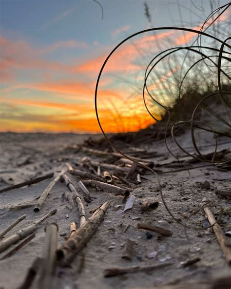 Why Hilton Head Island is a Top Destination for Retirees - Golden Homes