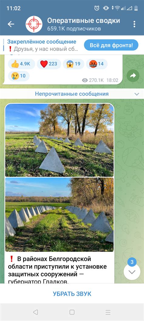 Граница на замке | Пикабу