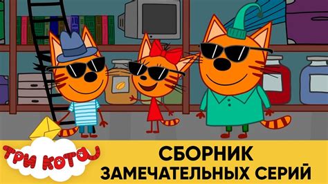 Три кота | Сборник замечательных серий | Мультфильмы для детей😃 - YouTube