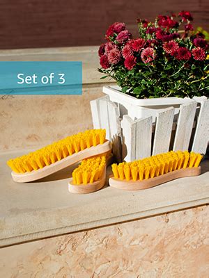 Amazon Pack Of Hard Bristle Scrub Brush Stiff Bristle Brush