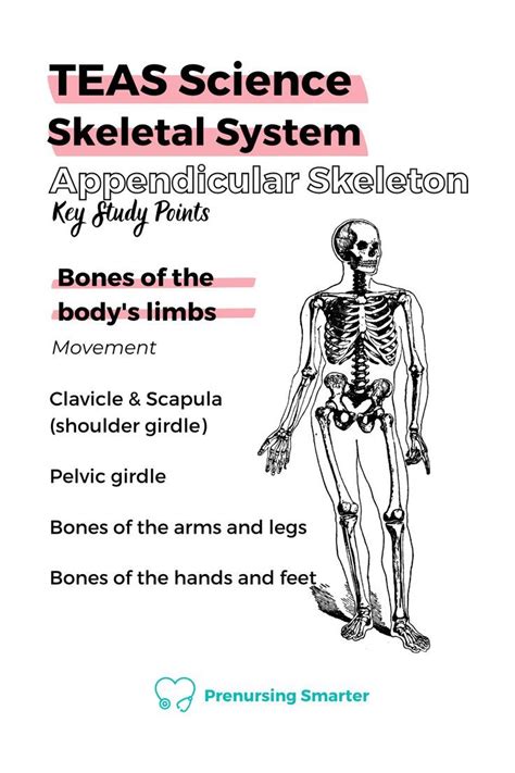 Ati Teas Science Anatomy Physiology Study Tips Prenursing Smarter